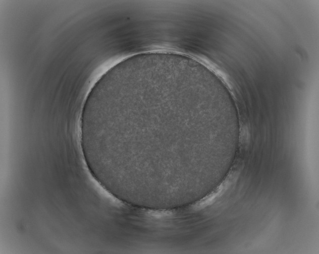 X0000111431239200908101109