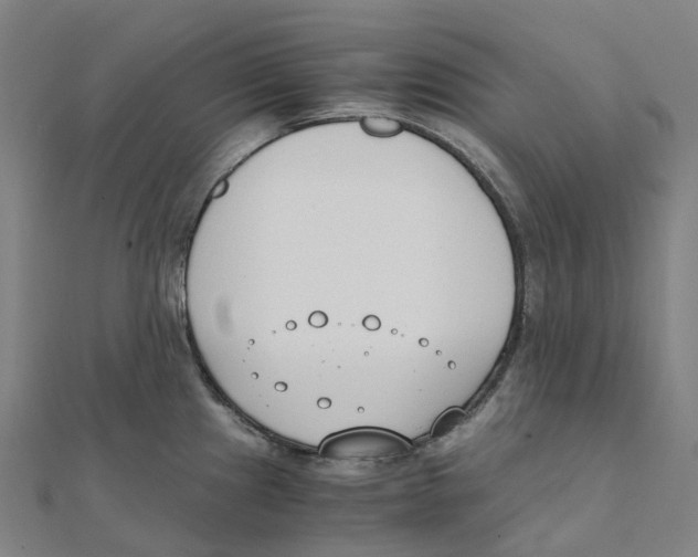 X0000111431241200908101109