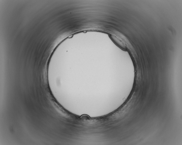 X0000111431242200908101109