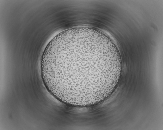 X0000111431243200908101109