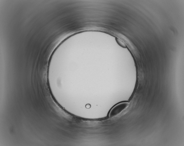 X0000111431244200908101109