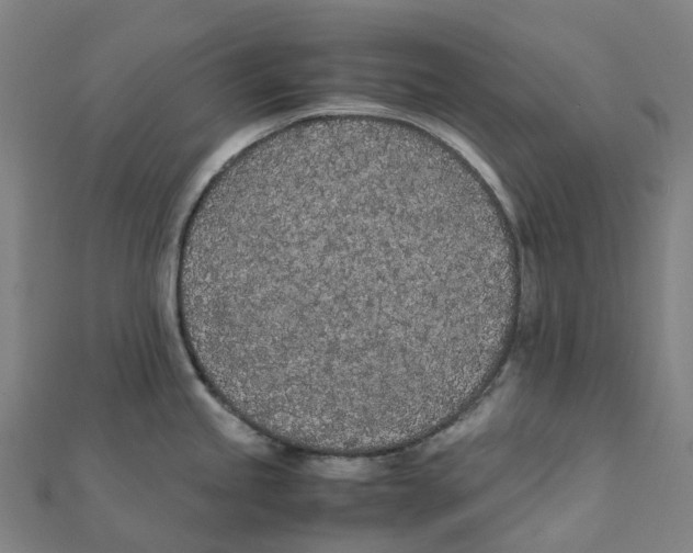 X0000111431245200908101109