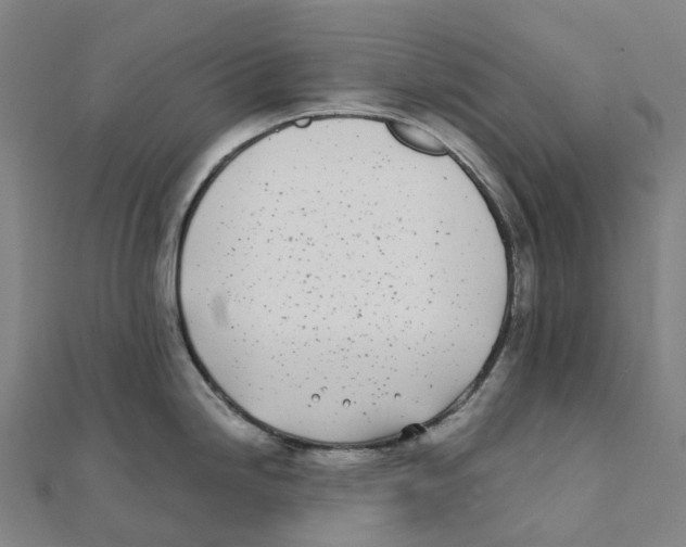 X0000111431246200908101109