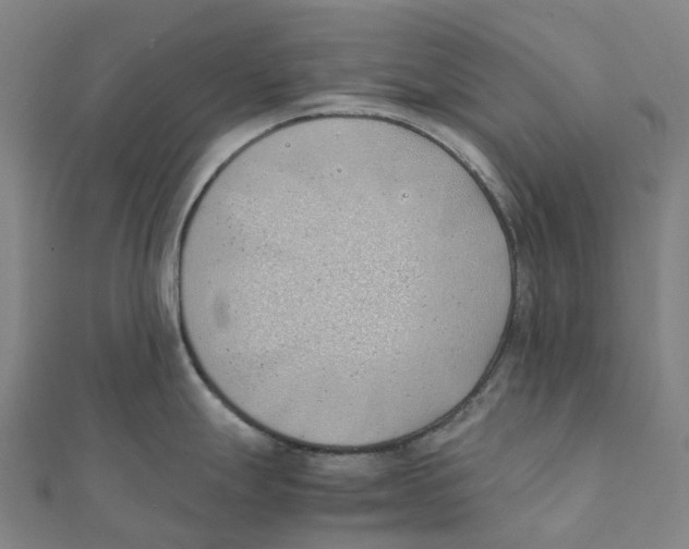 X0000111431247200908101109