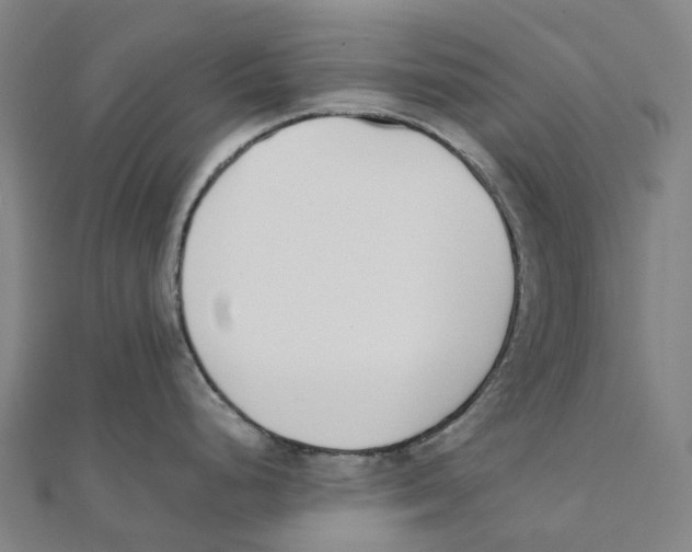 X0000111431248200908101109
