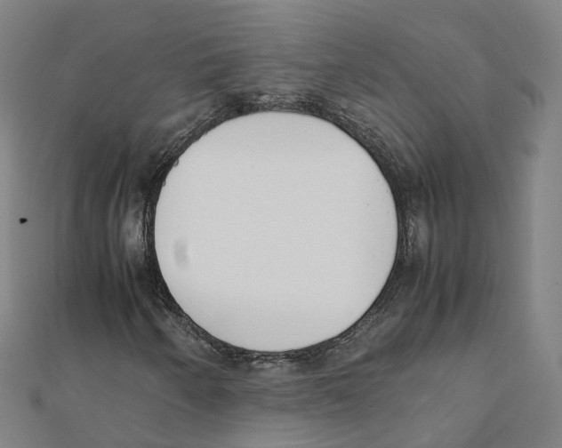 X0000111431250200908101109