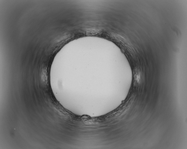 X0000111431252200908101109