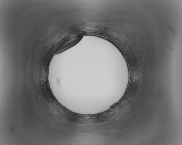 X0000111431253200908101109
