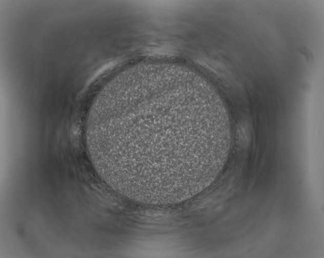 X0000111431254200908101109