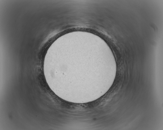 X0000111431255200908101109