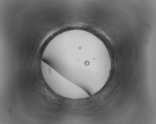 X0000111431256200908101109