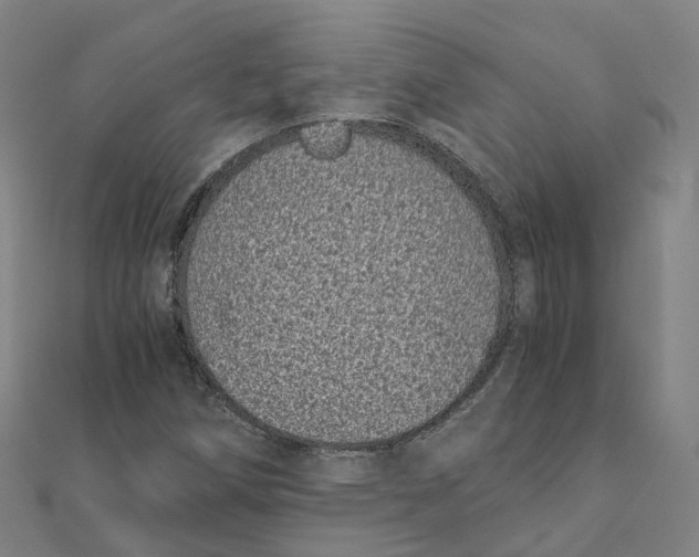 X0000111431258200908101109