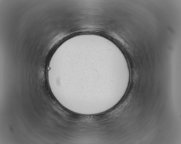 X0000111431259200908101109