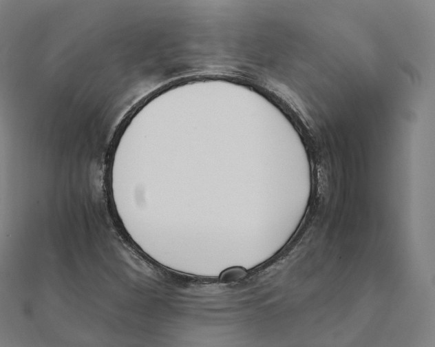 X0000111431260200908101109