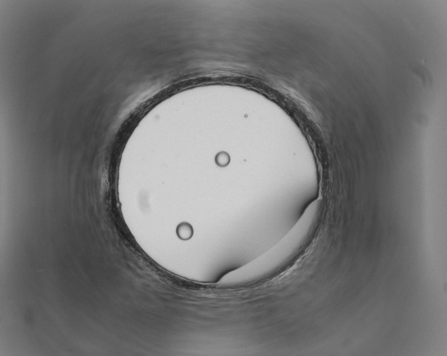 X0000111431261200908101109