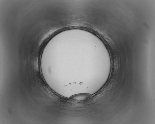 X0000111431262200908101109