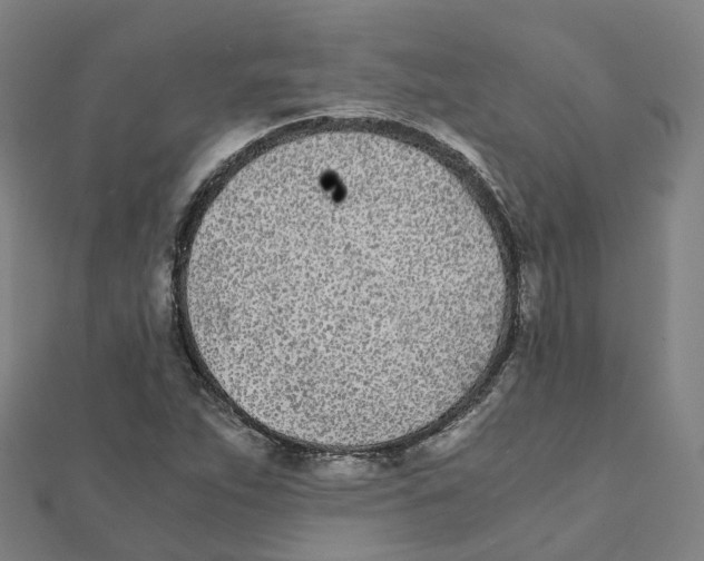 X0000111431263200908101109