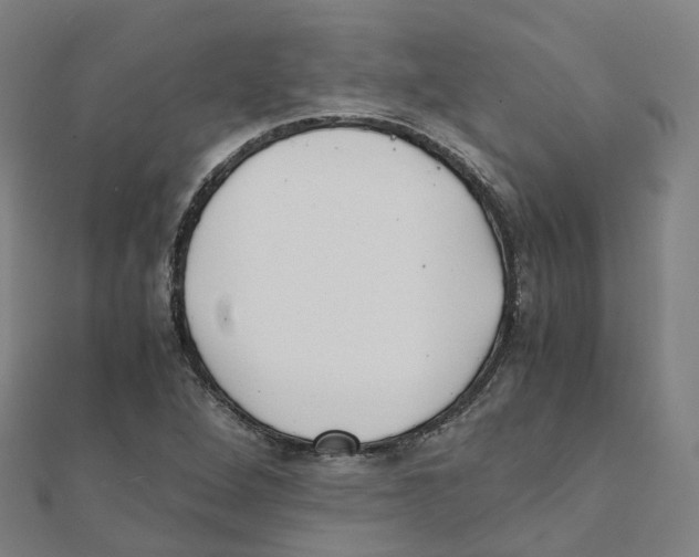 X0000111431264200908101109