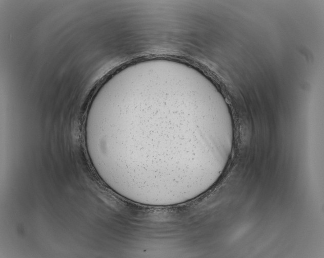 X0000111431266200908101109