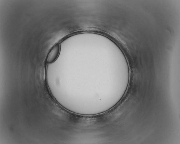 X0000111431269200908101109