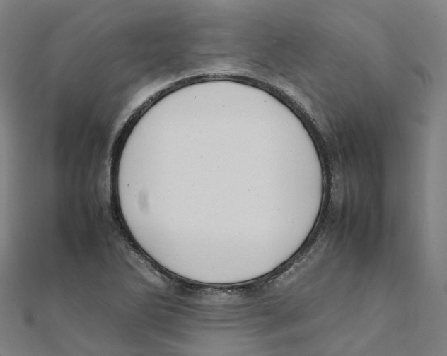 X0000111431270200908101109