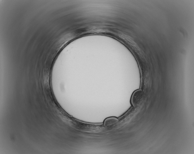 X0000111431273200908101109