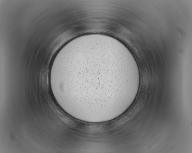 X0000111431274200908101108