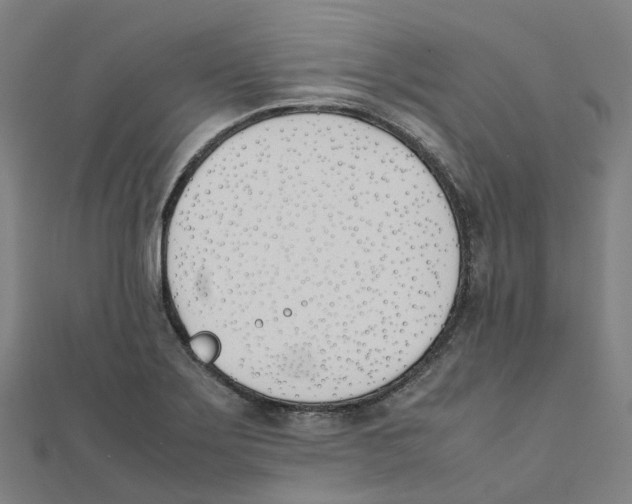 X0000111431275200908101108