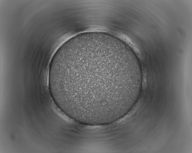 X0000111431276200908101108