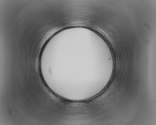 X0000111431277200908101108