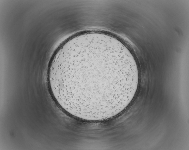 X0000111431279200908101108