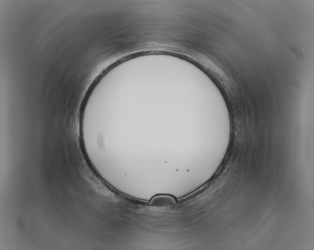 X0000111431280200908101108