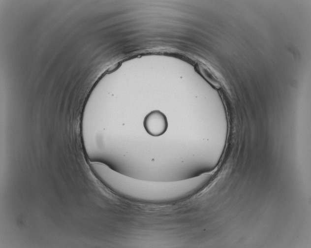 X0000111431281200908101108