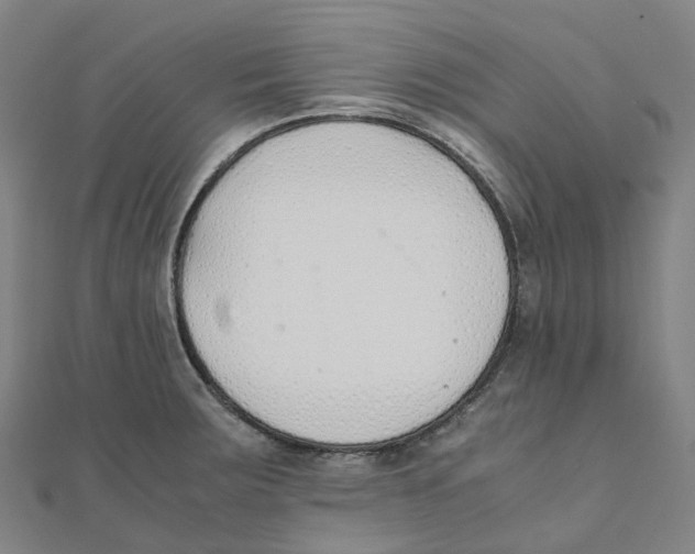 X0000111431283200908101108