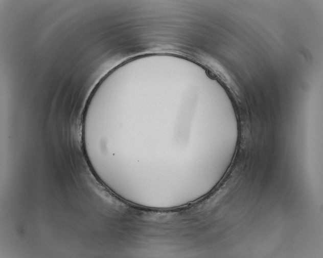 X0000111431284200908101108