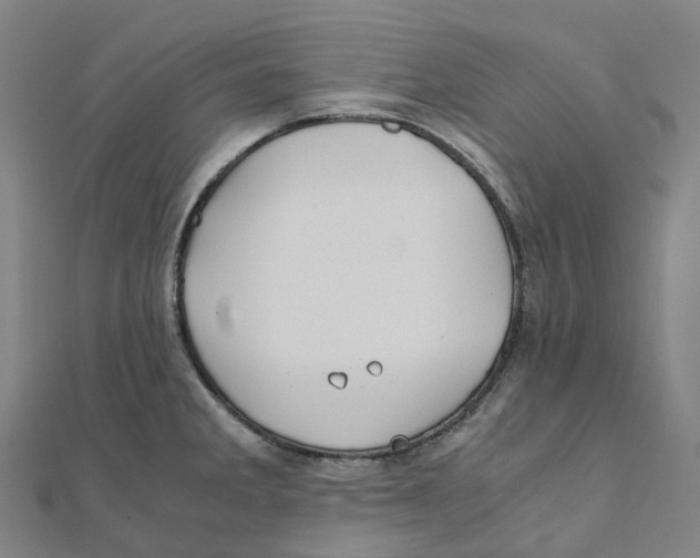 X0000111431285200908101108