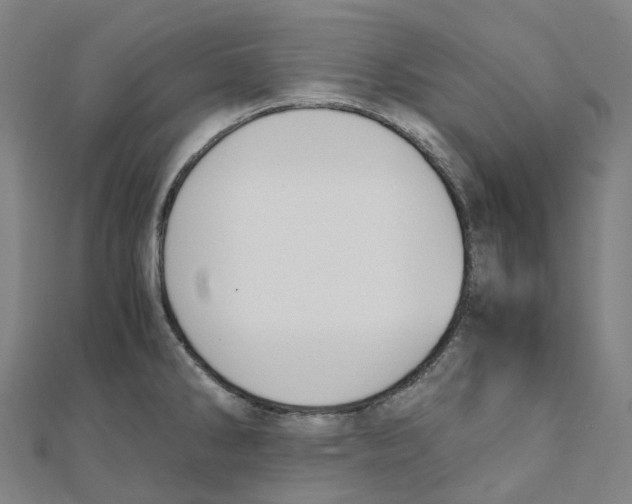 X0000111431286200908101108