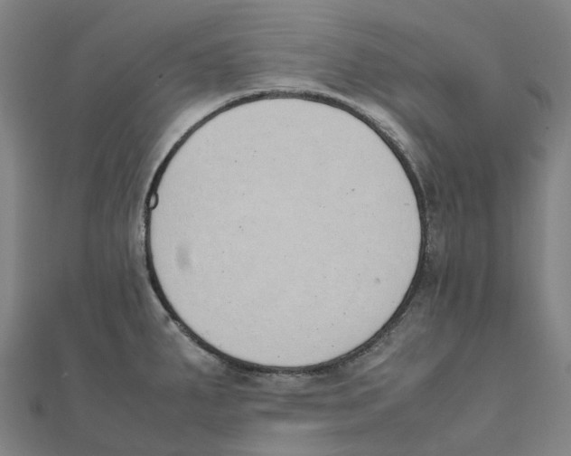 X0000111431287200908101108