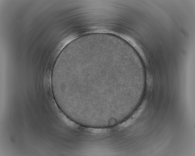 X0000111431289200908101108