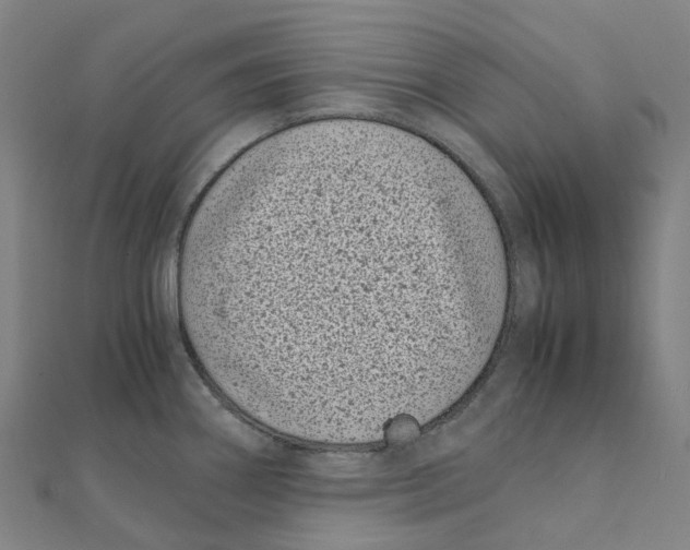 X0000111431290200908101108