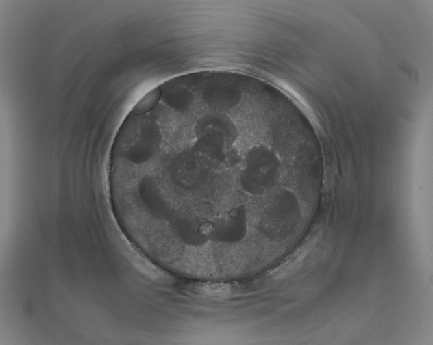 X0000111431291200908101108