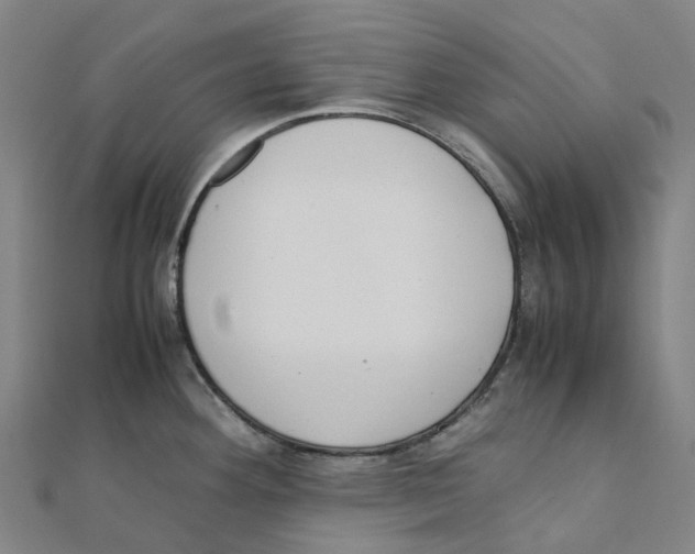 X0000111431292200908101108