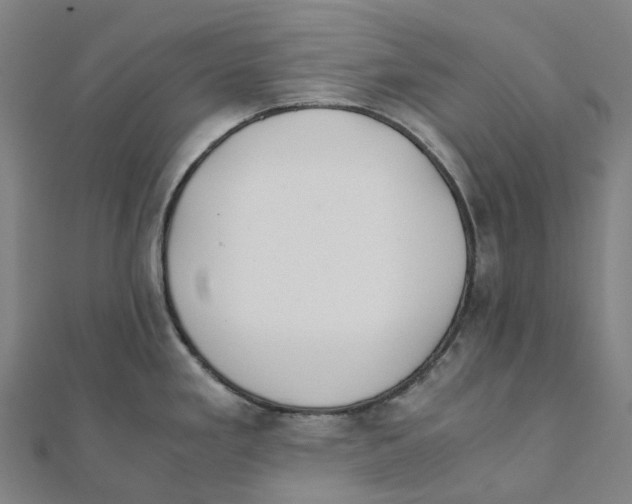 X0000111431293200908101108