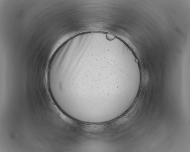 X0000111431294200908101108