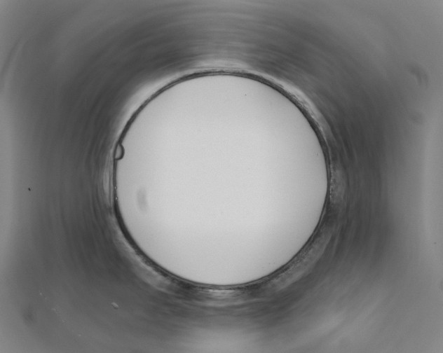 X0000111431295200908101108