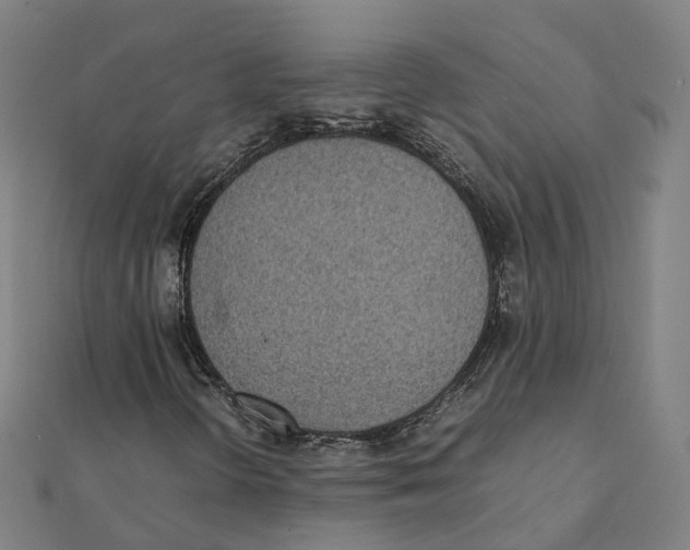X0000111431298200908101108
