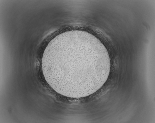 X0000111431302200908101108