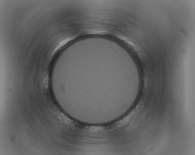 X0000111431306200908101108