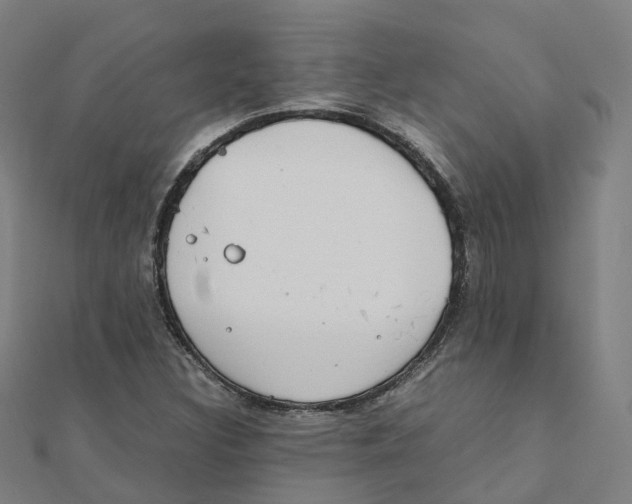 X0000111431308200908101108