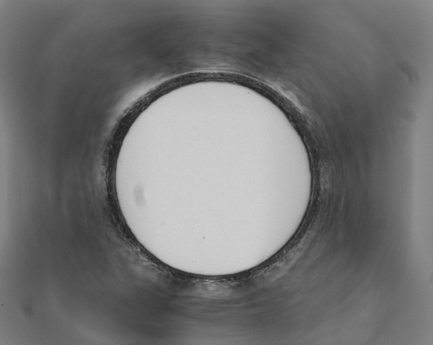 X0000111431311200908101108